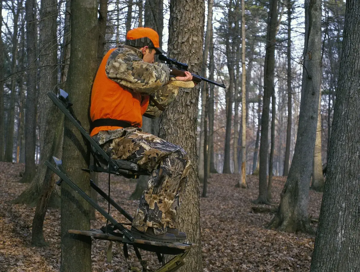 Hunter in blaze orange vest and cap aiming a scoped rifle from a tree stand